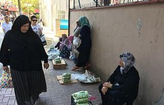 Fazla yağmur gören bamya, üreticiyi memnun etmedi