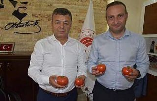 "Gelin Kardeş Olalım" projesi