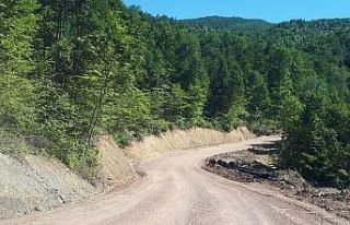 Geyve Kamışlı’da heyelanın izleri siliniyor