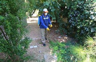 Haliliye’de haşereyle mücadele operasyonu