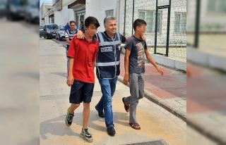 Hamile kediyi pitbullun ağzına atan çocuklardan...