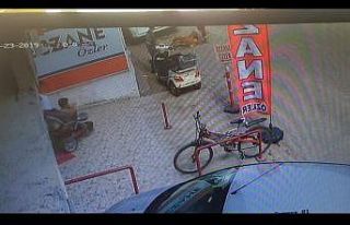 Hamile kediyi Pitbul’un ağzına böyle attı!