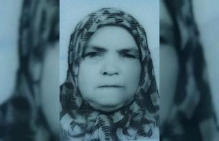 Hastaneye kontrole giderken kazada yaralanan kadın...