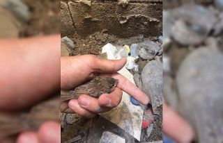 Havalandırma boşluğuna düşen serçe yavrusunu...