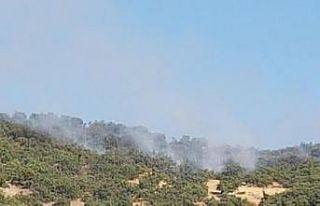 Hozat’ta orman yangını, ekipler müdahale ediyor