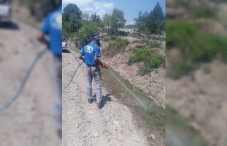 İbradı’da sinekle mücadele sürüyor