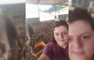 İneği ölümden kurtaran veteriner hekim hayatını...