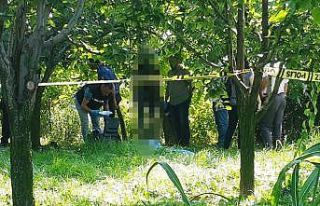 İşten ayrılınca bunalıma girdi, ailesine mektup...