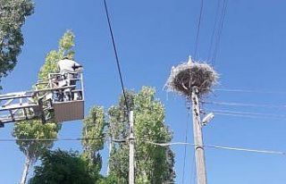İtfaiye ekipleri, yuvadan düşen leylek için seferber...
