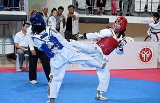 Kağıtsporlu taekwondocu, Türkiye 2.’si oldu