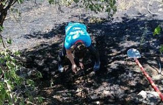 Kayseri itfaiyesinden hayata döndüren müdahale