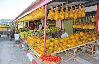 Kırkağaç kavunu, AB’den coğrafi işaret almaya...