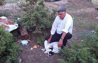 Köpek yavrularını çuvala koyup ölüme terk ettiler