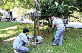 Küçükçekmece’de sokak hayvanları unutulmuyor