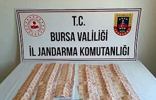 Kurban pazarlarına dadanacaklardı, yakalandılar