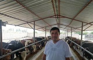 Kurbanlık alacaklar bu hususlara dikkat