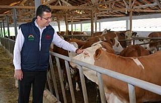 Kurbanlık alacaklara tavsiyeler