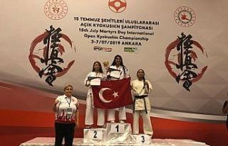 Kyokushın şampiyonasında madalya