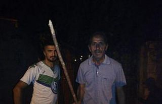 Mahalle sakinleri ellerinde sopalarla hırsız kovaladı