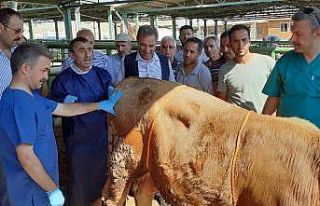 Malatya’da kurban kesim kursu düzenlendi