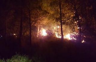 Manavgat’ta çıkan iki ayrı yangında, 2 hektarlık...