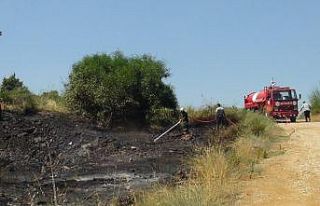 Manavgat’ta ot çalı yangını korkuttu