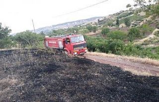 Mangal ateşi otluk alanda yangına neden oldu