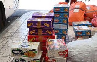 MAŞTİ’de kayısı yoğunluğu