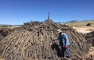 Meşe bir ay boyunca yanarak mangal kömürüne dönüşüyor