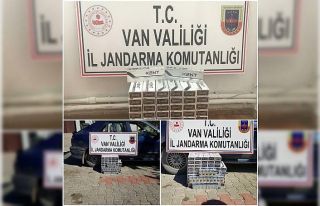 Muradiye’de kaçak sigara ele geçirildi