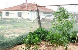 Müstakil evde uyuşturucu imalatına 1 tutuklama