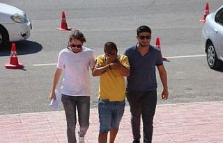 Narkotik köpeği ‘Molly’den kaçamadılar