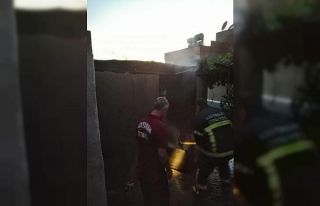 Odunlukta çıkan yangın korkuttu