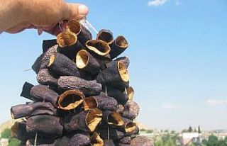 Organik sebzelerde "kurutma" mesaisi