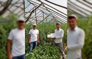 Örnek üreticilere sertifika