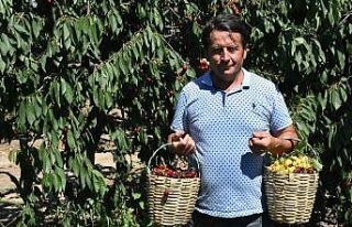 (Özel) Emekli oldu, seracılık okudu, bahçe kurdu