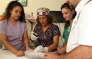 (Özel) Hayvan sevgisi 21 yıllık öğretmeni veteriner...