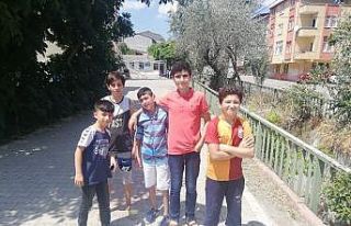 (Özel) İstanbul’da, sivrisinekle gelen “Batı...