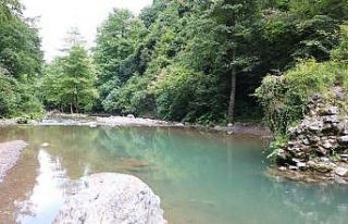 (ÖZEL) Maden Deresi ‘Nitelikli Doğal Koruma alanı’...