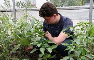 Özel öğrenciler kendi ektikleri sebzeler ile yemek...