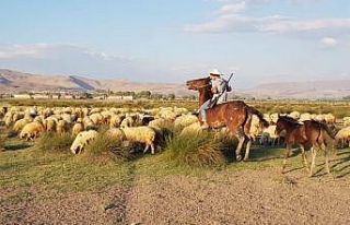 (Özel) Orta Asya’nın bozkırları değil, Erciyes...
