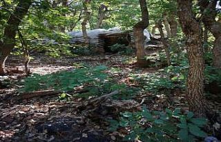 Pençe Harekatı’nda teröristlere büyük darbe