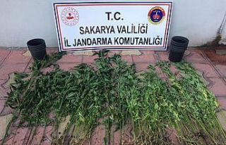 Sakarya’da jandarma ekipleri ilçelerde uyuşturucuya...