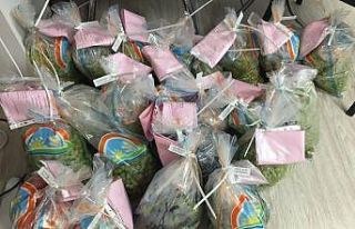 Salihli’de hasat öncesi pestisit denetimi