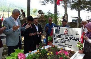 Şampiyonluk madalyasını şehit yeğeninin mezar...