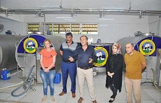 Sarayönü süt üreticilerine AB desteği