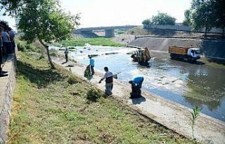 Sarıçam Deresi’nde hummalı temizlik çalışması