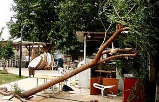 Sarıgöl’de fırtına etkili oldu