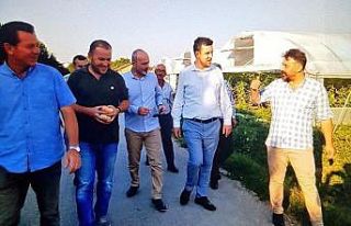 Seracılığa rağbet artıyor