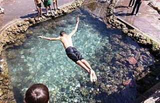 Sıcaklardan bunalan süs havuzlarına koştu